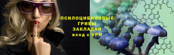 трава Беломорск