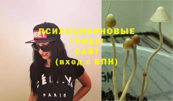 jwh Белокуриха