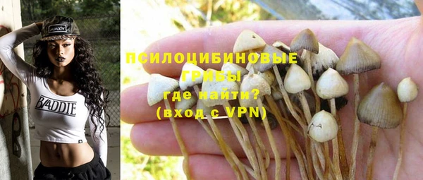 jwh Белокуриха