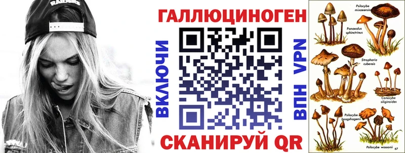 Галлюциногенные грибы мицелий  mega маркетплейс  Вышний Волочёк  купить  